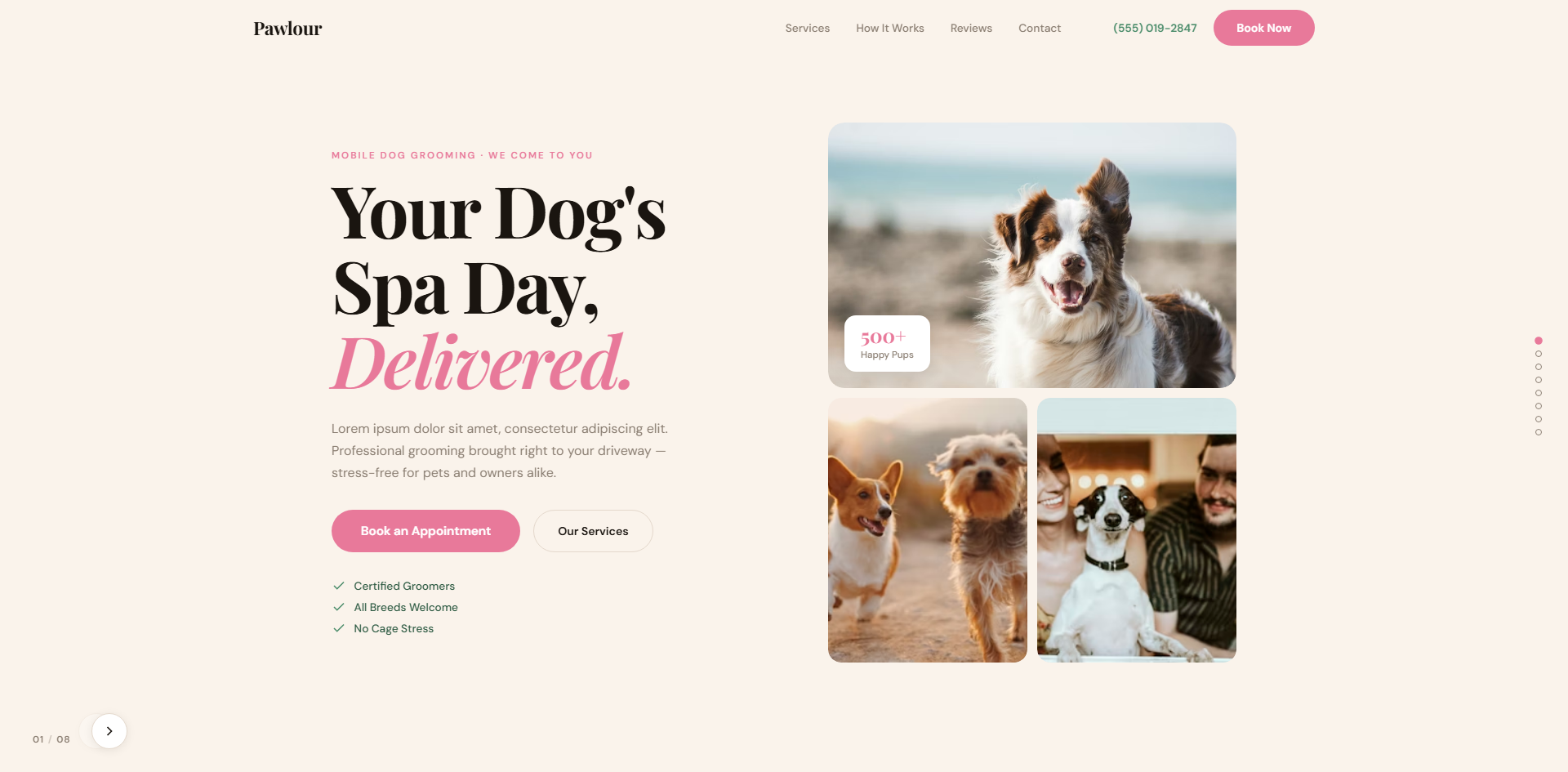 Pawlour template preview